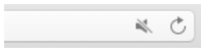 Address Bar audio setting
